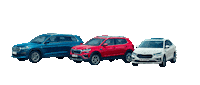 We Are Family Text Sticker by Skoda India