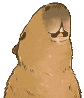 Capybara Rodent Sticker