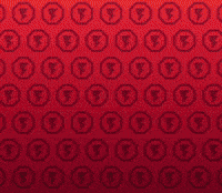 Ready To Fight Lets Go GIF by King Of Destiny