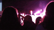 GIF by by The Barkers