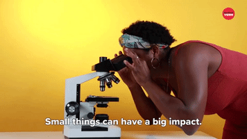 Small Things Can Have A Big Impact