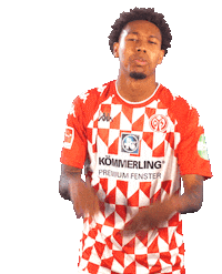 Bundesliga Fans Sticker by 1. FSV Mainz 05