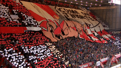 GIF by FOX Sports