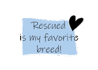 Dog Adopt Sticker by Tiere in Not Griechenland e.V.