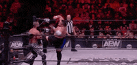 Samoa Joe Wrestling GIF by AEWonTV