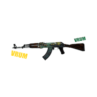 Vamos Ak 47 Sticker by MIBR