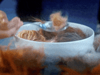 startrek yum star trek breakfast cereal GIF