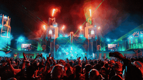 GIF by Boomtown