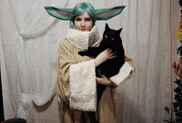 This Is The Way Cat GIF