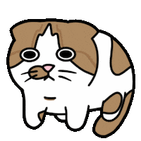 Cat Ggomo Sticker
