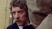 BMFI nicolas roeg dont look now bmfi GIF