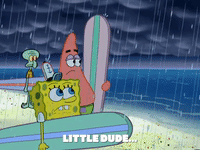 season 6 GIF by SpongeBob SquarePants