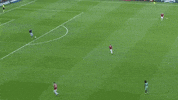 euro 2016 GIF by Sporza