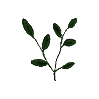 Leafs Bordado Sticker by bemmimosa