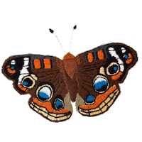 Embroidery Moth Sticker by bemmimosa