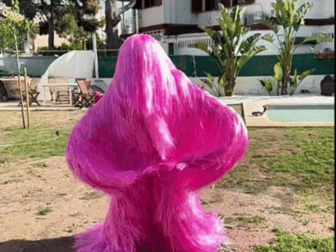 Ibiza GIF
