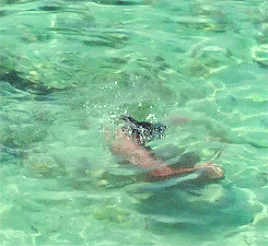 poldark GIF