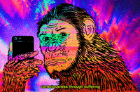 fox glitch GIF by PEEKASSO
