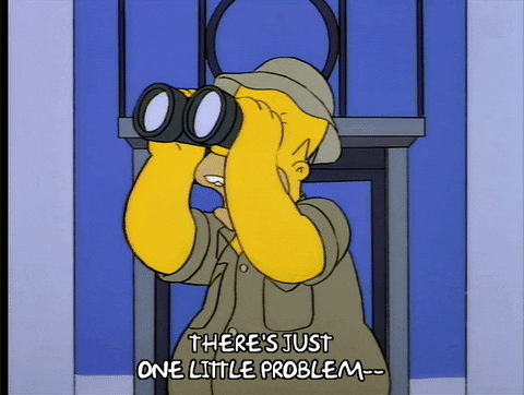 homer simpson GIF