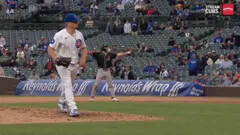 Excited Chicago Cubs GIF by TheDreamTeam 