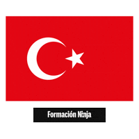 Turkey Flag Sticker by Formación Ninja