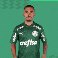Academia Puma GIF by SE Palmeiras