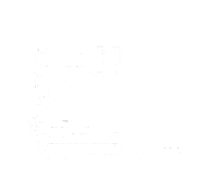 South Carolina Camera Sticker by Lunch + Recess