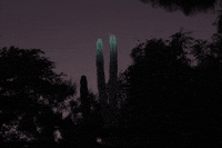 animation night GIF by Daniel Barreto