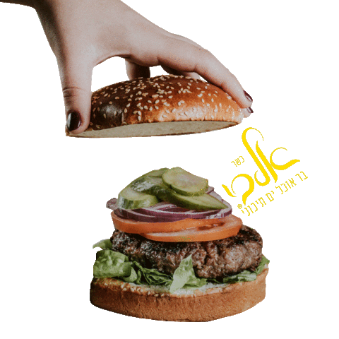 albirest giphyupload food burger albi Sticker