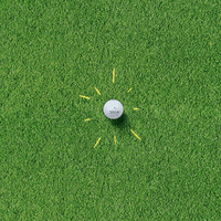 pga tour golf GIF by Travelers Championship