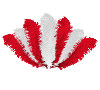 french cancan party Sticker by Jean Paul Gaultier