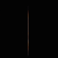 Comida Panama GIF by Grupo Calesa