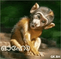 Ohho GIF