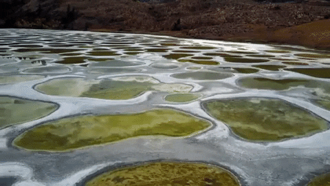 spotted lake GIF