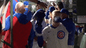 Chicago Cubs Sport GIF by TheDreamTeam 