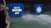 Chicago Cubs Sport GIF by MLB