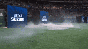 Chicago Cubs Sport GIF by MLB