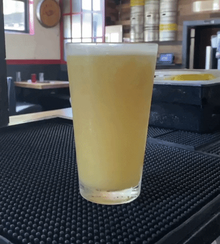 600DegreesPizza giphyupload beer GIF