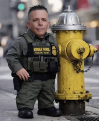 Border Patrol Ice GIF by Respective