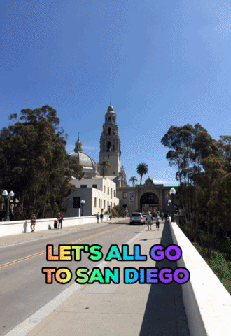 stonehampress san diego sandiego stonehampress timlewis GIF