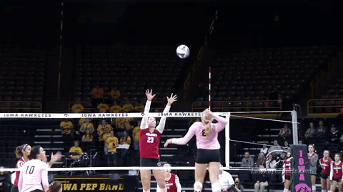 Iowa Hawkeyes Volleyball GIF by University of Iowa Hawkeyes Athletics