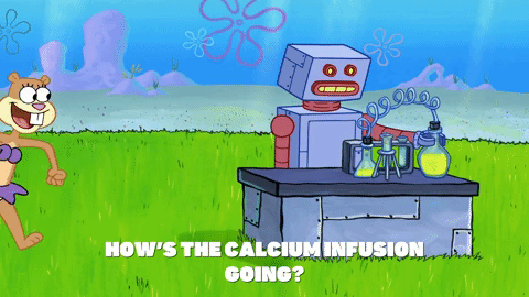 episode 1 GIF by SpongeBob SquarePants