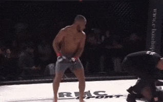 Mma Champion GIF by Old School Academy