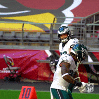 Regular Season Football GIF by NFL
