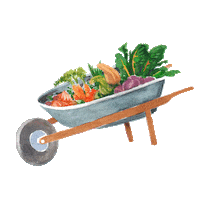 Vegetables Wheel Sticker by Amy's Kitchen