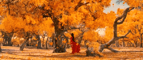 heroes3podcast giphyupload hero 2002 jet li GIF