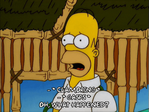 homer simpson GIF