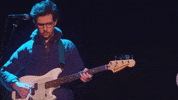 live music guitar GIF by Polyvinyl Records