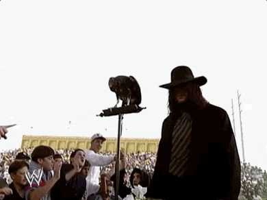 Rest In Peace Sport GIF by WWE