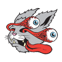 fianafandi cat kucing melotot fianafandi Sticker